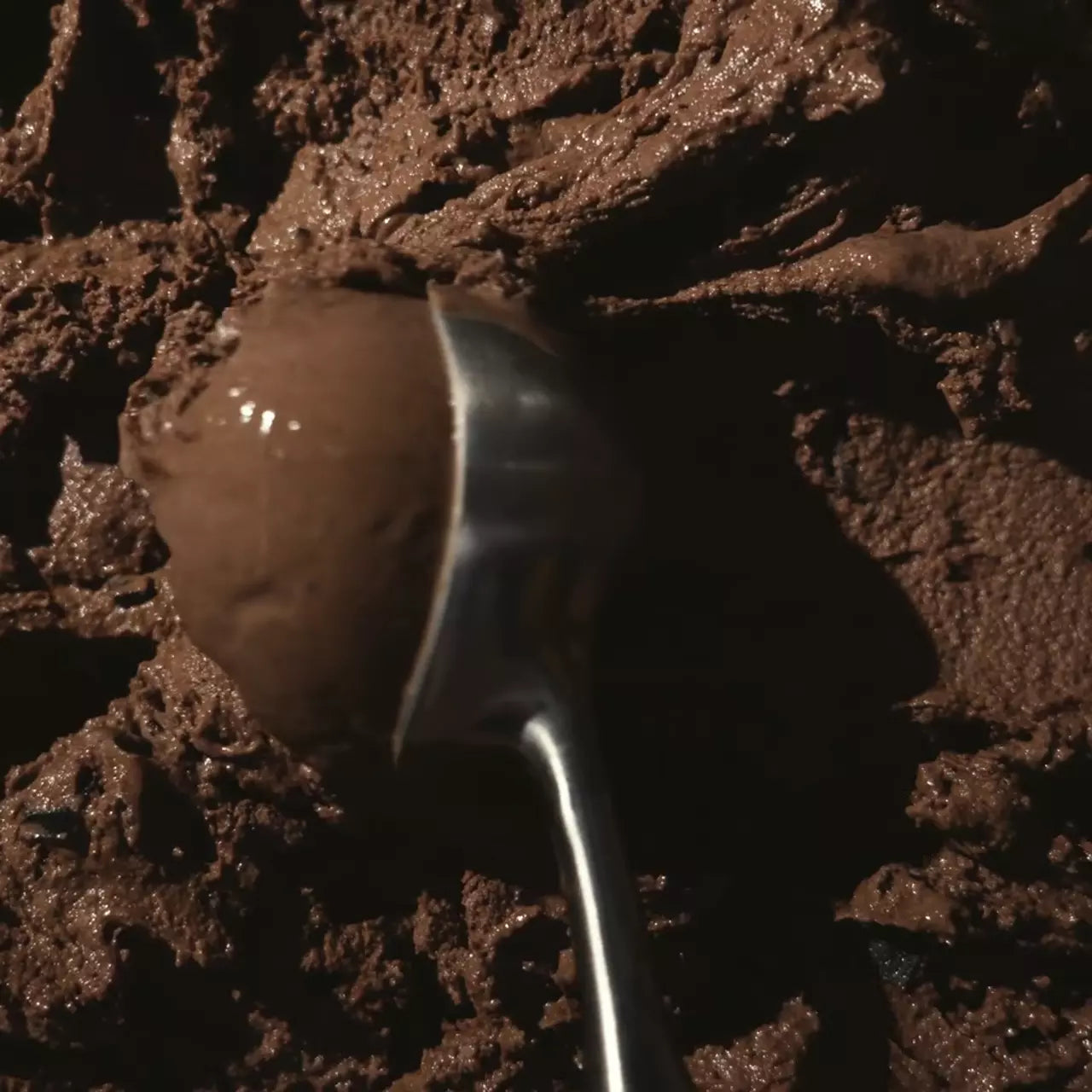 Triple Chocolate (6 pints) - Daily Classic Pick H5